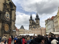 ꡼ No.002 | γϤ֥󥰥५ࡦǥХ󥹡פΥץ쥹ĥݡȡܴѸɥγ䥹ݥåȤҲ