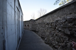 ꡼ No.014 | γϤ֥󥰥५ࡦǥХ󥹡פΥץ쥹ĥݡȡܴѸɥγ䥹ݥåȤҲ