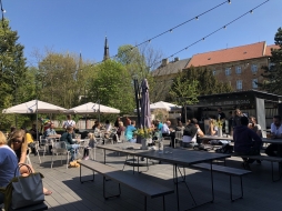 ꡼ No.040 | γϤ֥󥰥५ࡦǥХ󥹡פΥץ쥹ĥݡȡܴѸɥγ䥹ݥåȤҲ