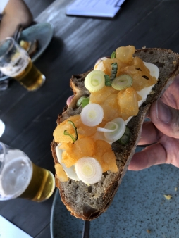 ꡼ No.043 | γϤ֥󥰥५ࡦǥХ󥹡פΥץ쥹ĥݡȡܴѸɥγ䥹ݥåȤҲ