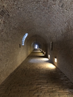 ꡼ No.065 | γϤ֥󥰥५ࡦǥХ󥹡פΥץ쥹ĥݡȡܴѸɥγ䥹ݥåȤҲ