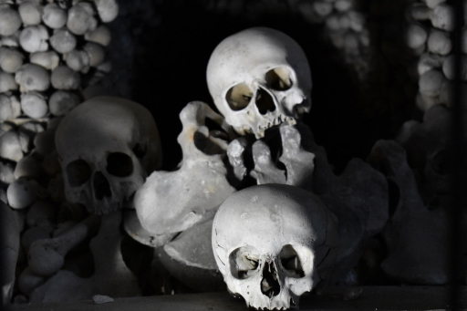 ꡼ No.088 | γϤ֥󥰥५ࡦǥХ󥹡פΥץ쥹ĥݡȡܴѸɥγ䥹ݥåȤҲ