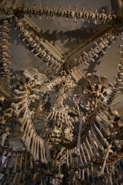 ꡼ No.093 | γϤ֥󥰥५ࡦǥХ󥹡פΥץ쥹ĥݡȡܴѸɥγ䥹ݥåȤҲ