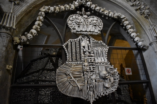 ꡼ No.097 | γϤ֥󥰥५ࡦǥХ󥹡פΥץ쥹ĥݡȡܴѸɥγ䥹ݥåȤҲ