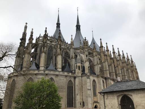 ꡼ No.105 | γϤ֥󥰥५ࡦǥХ󥹡פΥץ쥹ĥݡȡܴѸɥγ䥹ݥåȤҲ