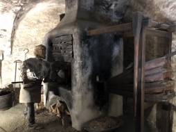 ꡼ No.117 | γϤ֥󥰥५ࡦǥХ󥹡פΥץ쥹ĥݡȡܴѸɥγ䥹ݥåȤҲ