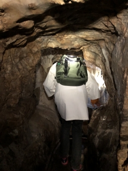 ꡼ No.123 | γϤ֥󥰥५ࡦǥХ󥹡פΥץ쥹ĥݡȡܴѸɥγ䥹ݥåȤҲ