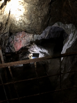 ꡼ No.124 | γϤ֥󥰥५ࡦǥХ󥹡פΥץ쥹ĥݡȡܴѸɥγ䥹ݥåȤҲ