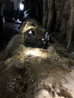 ꡼ No.125 | γϤ֥󥰥५ࡦǥХ󥹡פΥץ쥹ĥݡȡܴѸɥγ䥹ݥåȤҲ