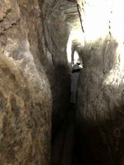 ꡼ No.126 | γϤ֥󥰥५ࡦǥХ󥹡פΥץ쥹ĥݡȡܴѸɥγ䥹ݥåȤҲ