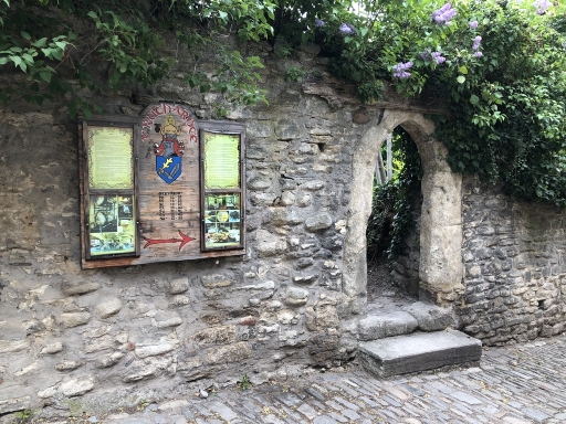 ꡼ No.145 | γϤ֥󥰥५ࡦǥХ󥹡פΥץ쥹ĥݡȡܴѸɥγ䥹ݥåȤҲ