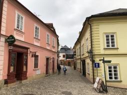 ꡼ No.154 | γϤ֥󥰥५ࡦǥХ󥹡פΥץ쥹ĥݡȡܴѸɥγ䥹ݥåȤҲ