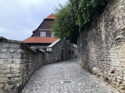 ꡼ No.155 | γϤ֥󥰥५ࡦǥХ󥹡פΥץ쥹ĥݡȡܴѸɥγ䥹ݥåȤҲ