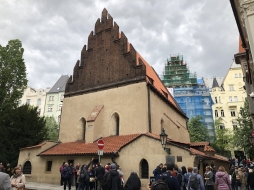 ꡼ No.160 | γϤ֥󥰥५ࡦǥХ󥹡פΥץ쥹ĥݡȡܴѸɥγ䥹ݥåȤҲ