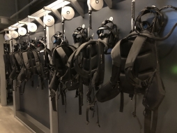 ꡼ No.166 | γϤ֥󥰥५ࡦǥХ󥹡פΥץ쥹ĥݡȡܴѸɥγ䥹ݥåȤҲ