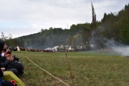 ꡼ No.193 | γϤ֥󥰥५ࡦǥХ󥹡פΥץ쥹ĥݡȡܴѸɥγ䥹ݥåȤҲ