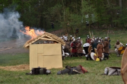 ꡼ No.196 | γϤ֥󥰥५ࡦǥХ󥹡פΥץ쥹ĥݡȡܴѸɥγ䥹ݥåȤҲ