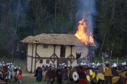 ꡼ No.206 | γϤ֥󥰥५ࡦǥХ󥹡פΥץ쥹ĥݡȡܴѸɥγ䥹ݥåȤҲ