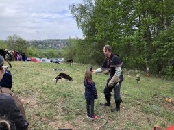 ꡼ No.219 | γϤ֥󥰥५ࡦǥХ󥹡פΥץ쥹ĥݡȡܴѸɥγ䥹ݥåȤҲ