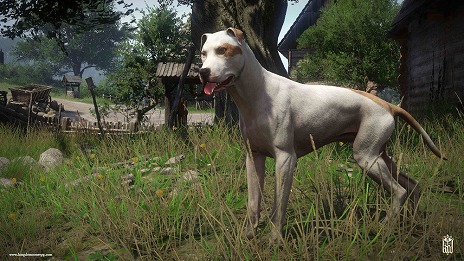 画像ギャラリー No.004のサムネイル画像 / 「キングダムカム・デリバランス」最後の追加コンテンツ“ある女の運命”が本日配信。物語最後のピースを埋めるクエストに挑戦しよう