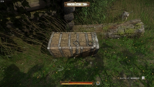 ꡼ No.007Υͥ / 5DLC·äܸǡ֥󥰥५ࡦǥХ󥹡פǡ衼åѤȤŸʪθ褦