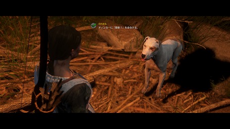 ꡼ No.013Υͥ / ֥󥰥५ࡦǥХ󥹡פDLCϿǡȥ륨ǥɤȡǡDMM GAMES THE BESTɤͽդ