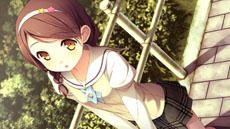 ꡼ No.009 | PSPɥ٥㡼your diary ʲˡפ2013ǯȯꡣPCǤΥ֥饯2̾ҥ˾ʤάǽ