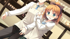 ꡼ No.011 | PSPɥ٥㡼your diary ʲˡפ2013ǯȯꡣPCǤΥ֥饯2̾ҥ˾ʤάǽ