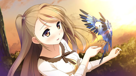 ꡼ No.002 | PSPADVyour diaryʲˡפȥ뤬your diary+פ˷ꡣPSPǤοҥְۤȤפξ