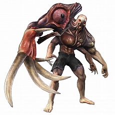 ꡼ No.020 | ֤ߤʤ Хϥ ॵХ׻Ͽ档725ޤ