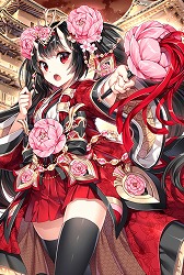 ꡼ No.003Υͥ / ֥󥯥˥3ס쥸ɥեɤ򳫺