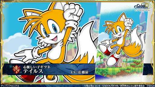 ���������꡼ No.009�Υ���ͥ������ / �֥����󥯥���ͦ�� 嫤��������ץ���������ǥ��롤������������������˥å�����ܤξܺ٤�ȯɽ