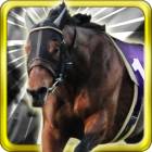 �ѥå�����