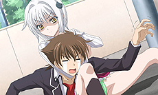 ꡼ No.005Υͥ / ͵饤ȥΥ٥֥ϥDDפಽ͸ ʼƣοADVѡȤˤȶɤɥƥäо