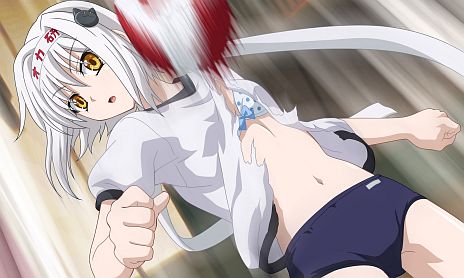 ���������꡼ No.020�Υ���ͥ������ / �֥ϥ���������D��D�ס��ɤ줿���ɤ�ʤ��ä��꤬�褯ʬ����PV��1�Ƥ��������ŵ�������ˡ��������������ۥ������塼�ब��ǽ�Ǥ���Хȥ�ѡ��Ȥ�