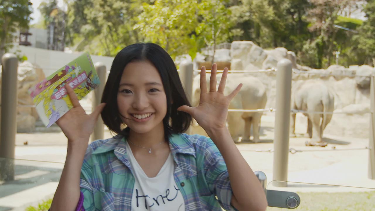 AKB1 149 恋愛総選挙 Amazon.co.jp: AKB1/149 恋愛総選挙 公式ガイドブック (講談社MOOK