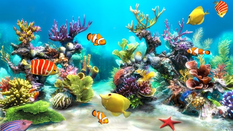 7月8日のios向けアプリセール情報 水槽の熱帯魚や珊瑚を眺めて楽しめる Sim Aquarium 3d が無料で配信中