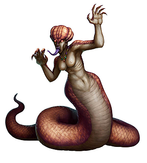 画像ギャラリー No.045のサムネイル画像 / iOS向けの「ドラゴンズドグマ クエスト」が近日配信! 登場キャラやゲームシステムの一部が公開に