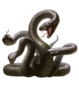 ꡼ No.008 | ֥ɥ饴󥺥ɥ ȡפ˥٥ȥ󥸥ۤβϭפо