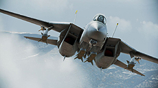 ꡼ No.009Υͥ / ACE COMBAT INFINITYפΥץ¥ƥȤȡ¥ƥͽȥ쥤顼3ƤȤˤϡָ󥱡ȡס֤ոȢ