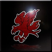 ������#015�Υ���ͥ���/��ACE COMBAT INFINITY�ס���Ŵ���פȥ���ܤ������̵��Τ�3���о�