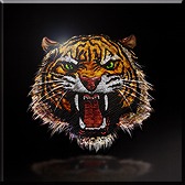 ������#026�Υ���ͥ���/��ACE COMBAT INFINITY�ס���Ŵ���פȥ���ܤ������̵��Τ�3���о�