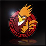 画像ギャラリー No.018のサムネイル画像 / 「ACE COMBAT INFINITY」第13弾アップデート実施。オンライン協同戦役に新ミッション追加など