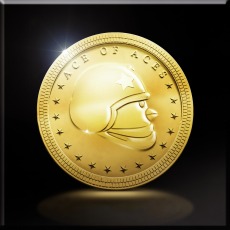 ꡼ No.005 | ACE COMBAT INFINITYץ饤Ʊ˿ߥåɲ