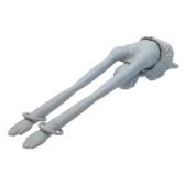 画像集#008のサムネイル/「ストリートファイター」シリーズの新作グッズ情報が公開。土下座ストラップなど