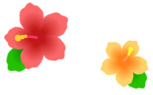 ���������꡼ No.003�Υ���ͥ������ / ���Ҿ�ʪ�� for entag!�פ��ۿ��������ȡ������ץ�ǰ�����ڡ����»���