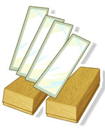 ���������꡼ No.009�Υ���ͥ������ / �����ο��ץ��������ȡ�project 575�פ���1�ƤȤʤ�iOS���ץ�֤����Ӥ�575�פ��ۿ��档�ޡ������޷����ǥ��ȥФ����Ϥ��ƲΤ�Ӥ⤦