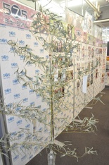 ������#010�Υ���ͥ���/�֤����Ȥ�575�פ��θ���ȡ�project 575�ߥ塼������פ����ͤ��ݡ��ȡ��ץ��ǥ塼�������ܷ�Ϻ��ȥǥ��쥯�����ȱ� ����ι�Ʊ���󥿥ӥ塼��Ǻ�