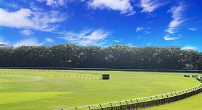 画像集#003のサムネイル/「ソリティ馬」,公式大会「第2回ゲーフリカップ」を開催。エントリー受付を開始