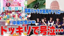 ���������꡼ No.014�Υ���ͥ������ / �֥ȥ�Сפ����쥳��ȥ����ɥ륰�롼�פΥ������ȥ����